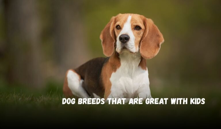 Dog Breeds That Are Great with Kids