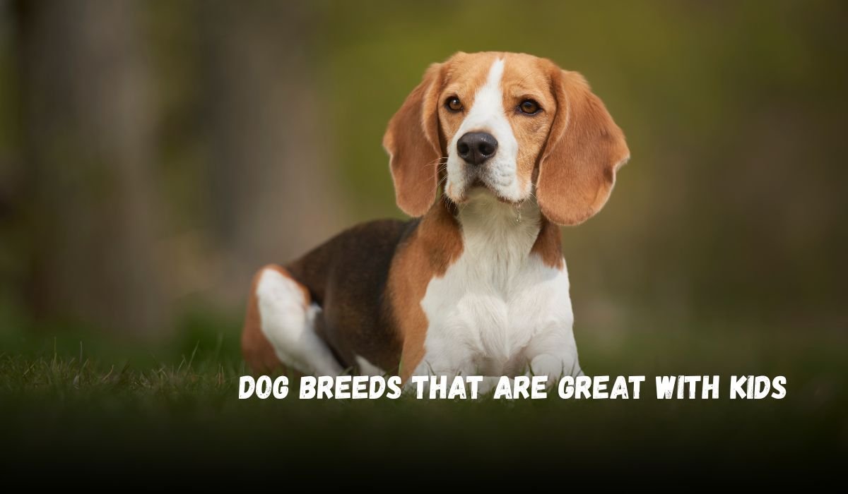 Dog Breeds That Are Great with Kids