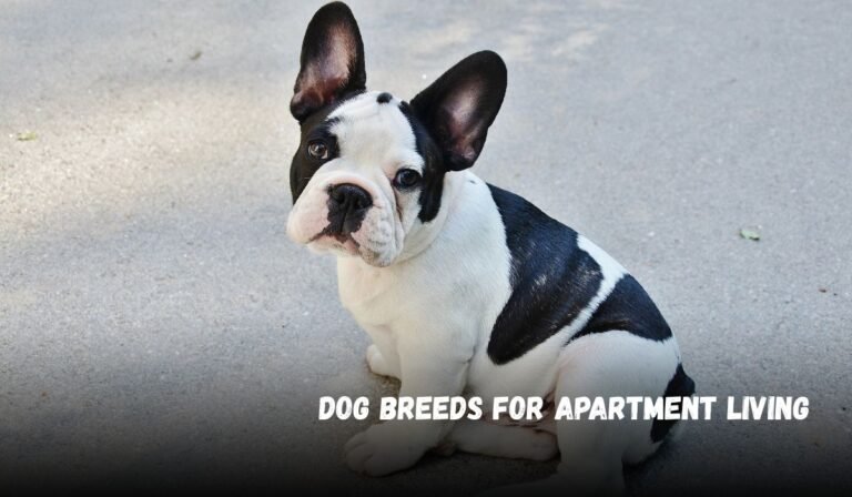 Dog Breeds for Apartment Living