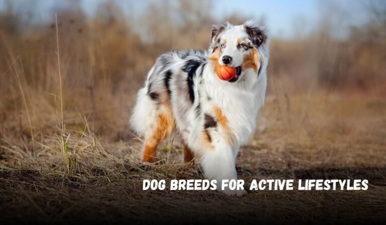 Dog Breeds for Active Lifestyles